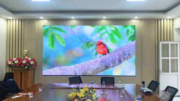 Lắp Đặt Màn Hình LED P2 Trong Nhà Tại Ban Quản Lý Dự Án Cao Tốc Hải Phòng