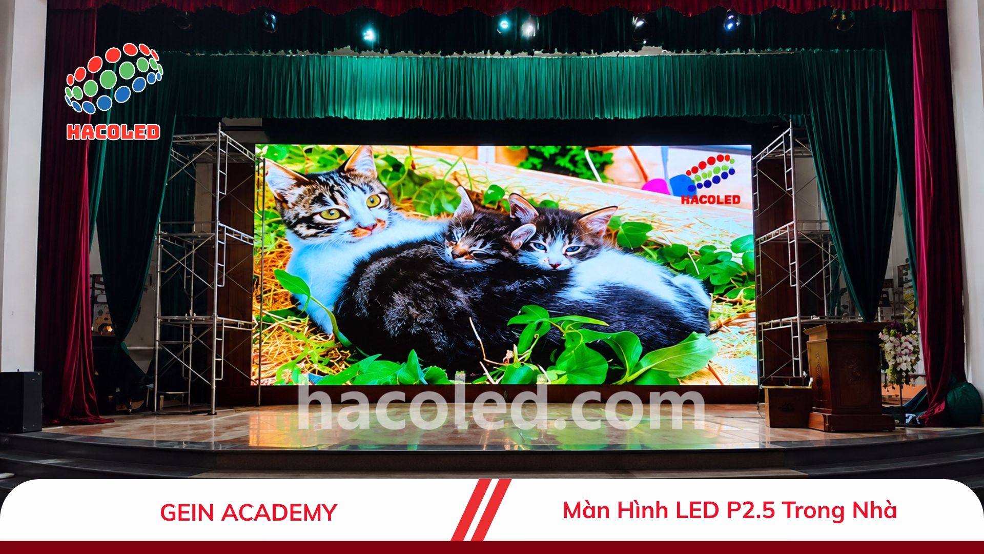 Lắp Đặt Màn Hình LED P2.5 Trong Nhà Tại Gein Academy