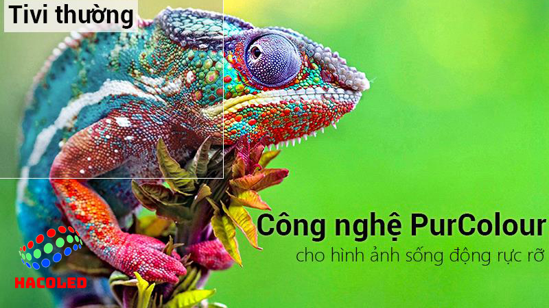 Công Nghệ Purcolor - Tái Hiện Màu Sắc Chân Thực Như Đời Thực 1 anh cong nghe purcolor 3
