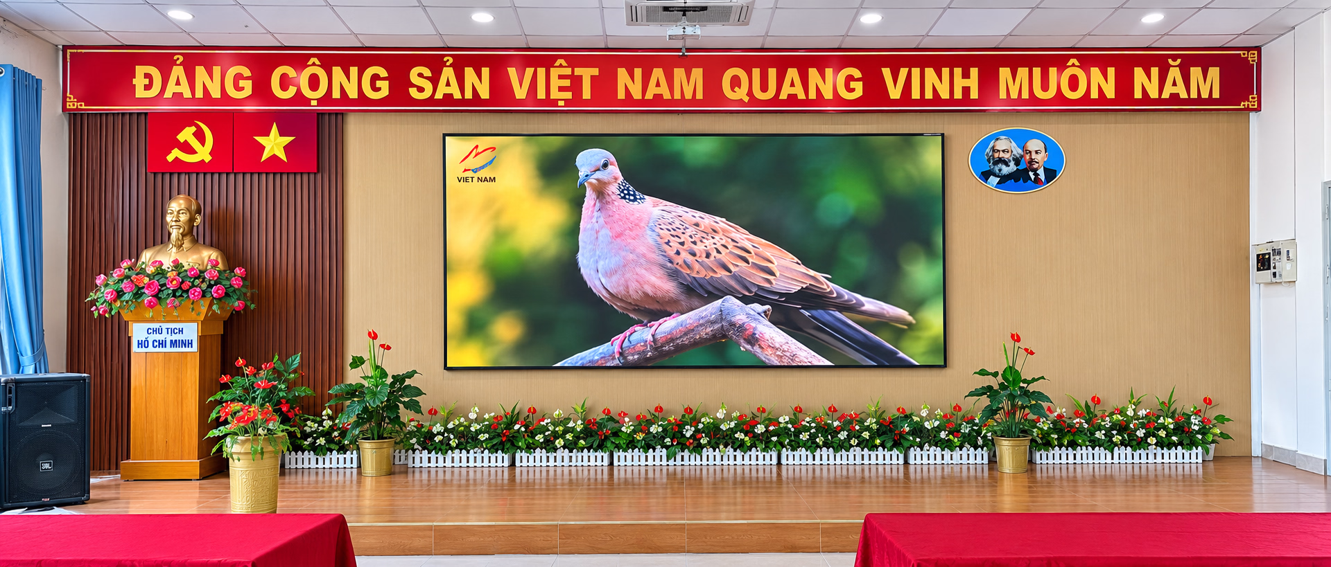 Lắp Đặt Màn Hình LED P2.5 Trong Nhà Tại Trường Tiểu Học Tô Vĩnh Diện