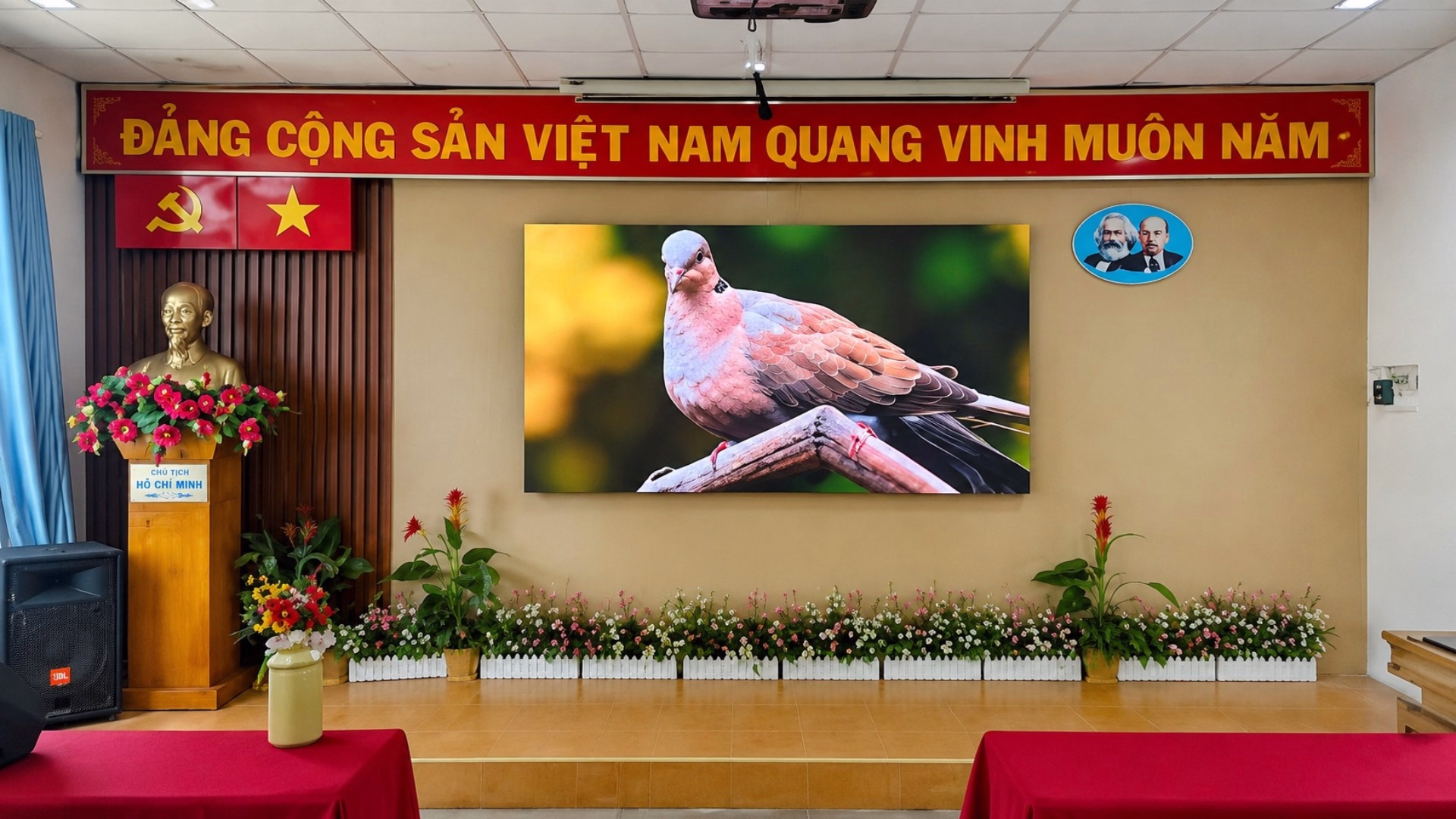 Lắp Đặt Màn Hình LED P2.5 Trong Nhà Tại Trường Tiểu Học Lê Thánh Tông 2 man-hinh-led-p2-5-truong-tieu-hoc-le-thanh-tong