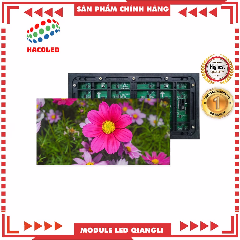 Module LED Qiangli