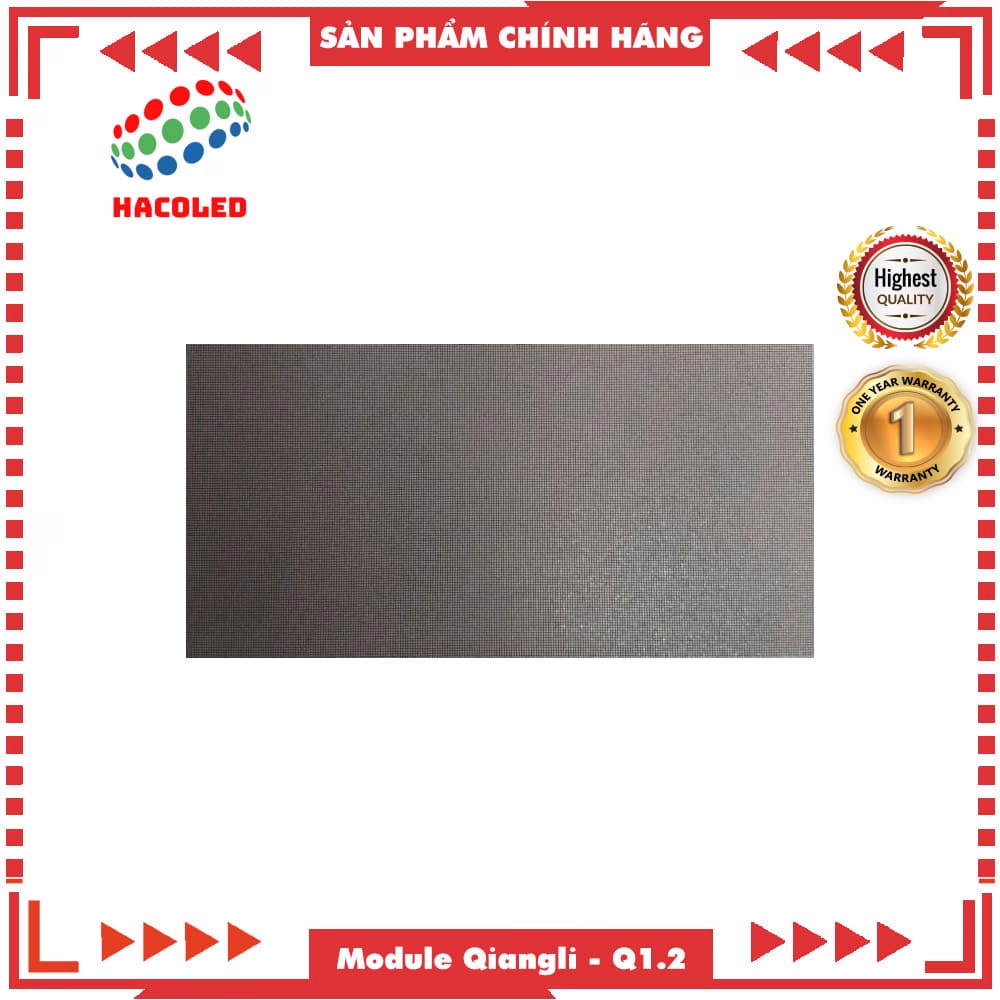 Module LED Qiangli Q1.2 (Indoor) - Ảnh 2