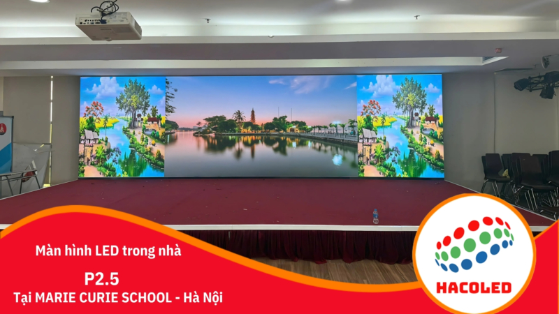 p2.5-trong-nha-tai-truong-marie-curie-school-ha-noi (2)