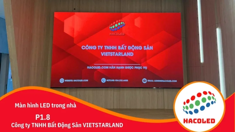 p1-8-trong-nha-tai-cong-ty-tnhh-bat-dong-san-vietstarland