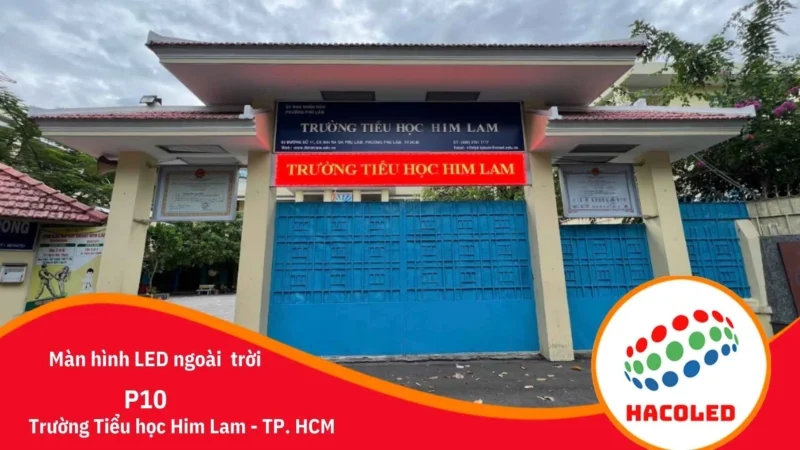 p10-ngoai-troi-tai-truong-tieu-hoc-him-lam-tp-hcm