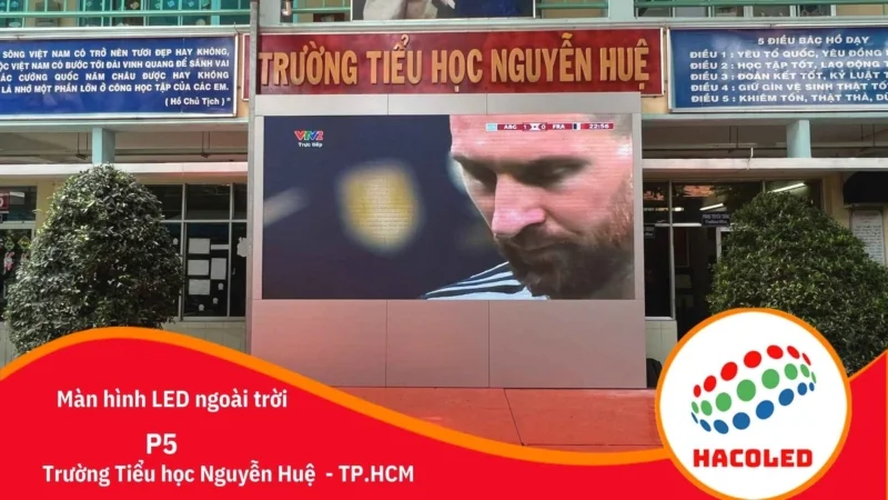 p5-ngoai-troi-tai-truong-tieu-hoc-nguyen-hue-tp-hcm (1)