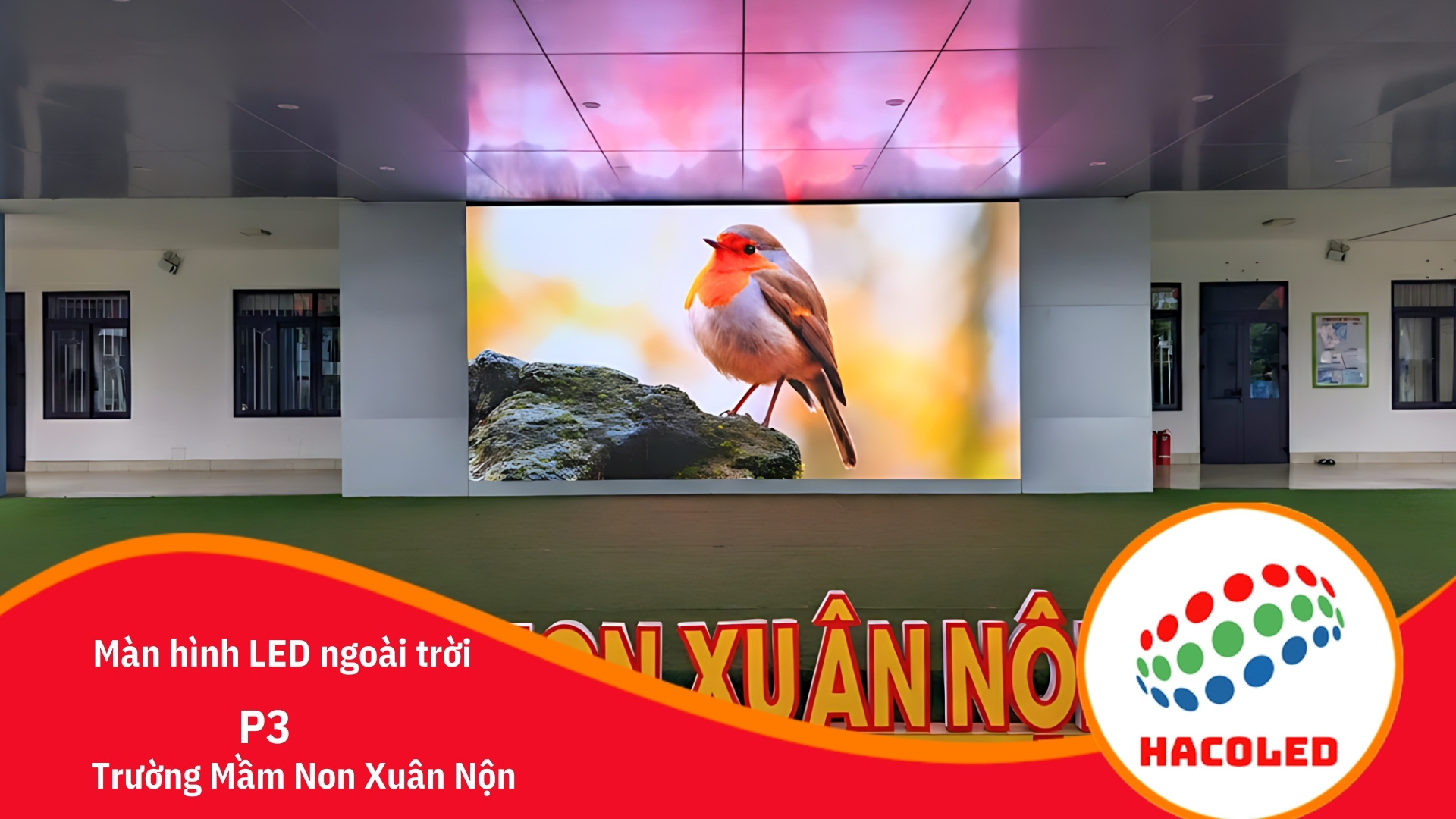man-hinh-led-p3-ngoai-troi-tai-truong-mam-non-xuan-non (3)