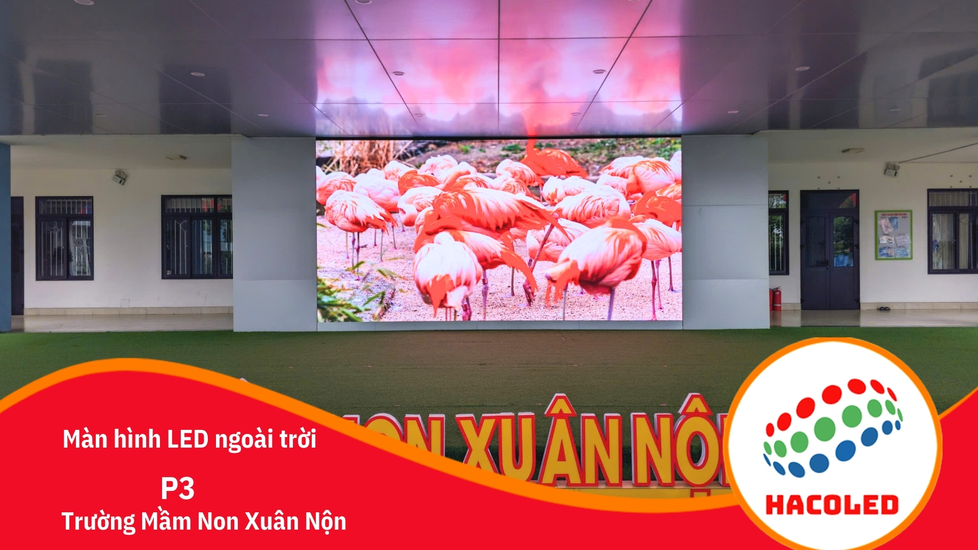 man-hinh-led-p3-ngoai-troi-tai-truong-mam-non-xuan-non (5)