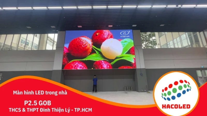 man-hinh-led-p2-5-trong-nha-truong-dinh-thien-ly