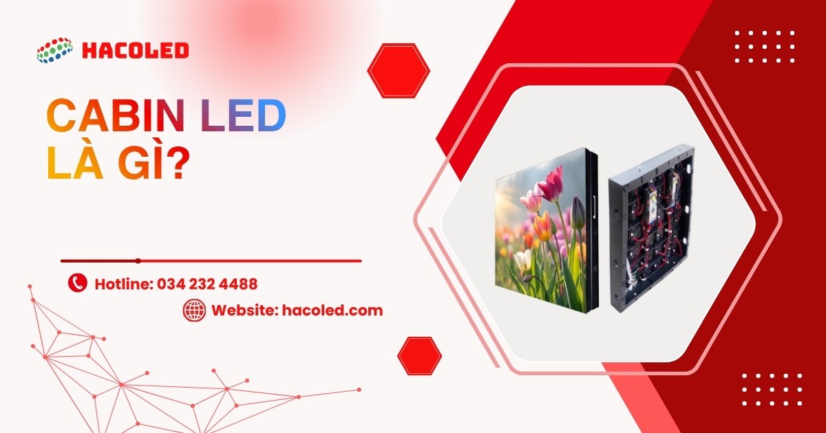 Cabin LED là gì? Phân loại các dòng Cabin LED phổ biến nhất hiện nay.