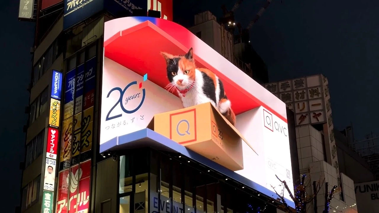 billboard-led-3d-shinjuku-tokyo-nhat-ban