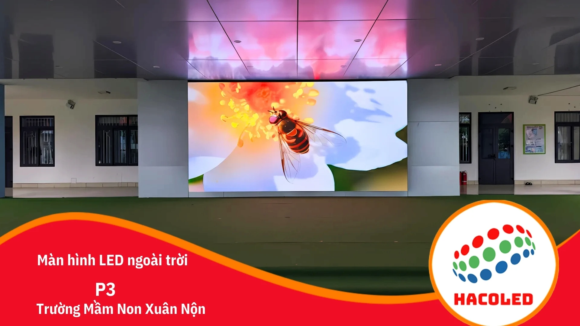 Tải Miễn Phí 100+ Mẫu Video Background Màn Hình LED Tuyệt Đẹp 2 man-hinh-led-p3-ngoai-troi-tai-truong-mam-non-xuan-non.