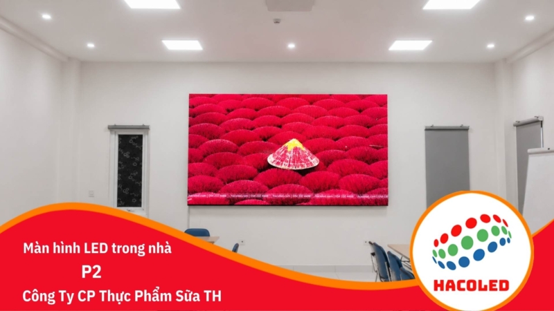 p2 cong ty cp thuc pham sua th
