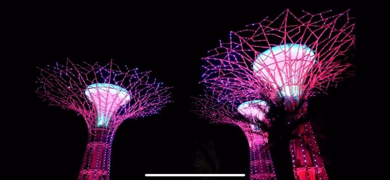 LED TRANG TRÍ CÂY ÁNH SÁNG - THIÊN ĐƯỜNG BẢO SƠN