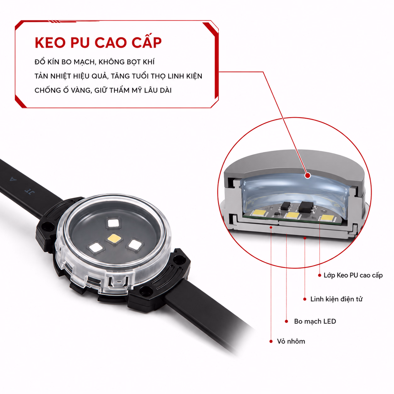 LED Điểm Phi 30 - Ảnh 6